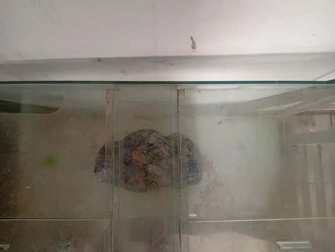 Vendo aquario