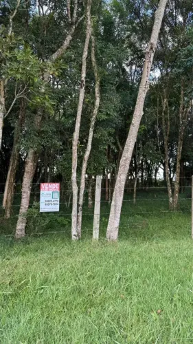 Terrenos à venda em Santa Felicidade 600 m² | Topografia plana