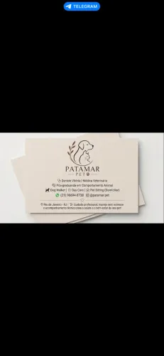 Dog Walker, Pet Sitting (Passeador de cães | cuidador)