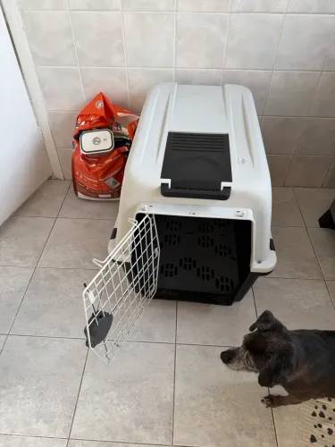 Caixa de transporte para cachorro