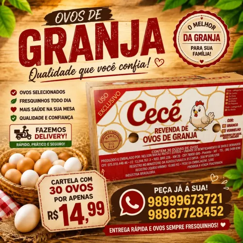 Ovos de granja (brancos)