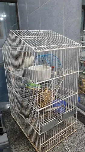Gaiola hamster