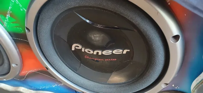 Subwoofer 308 cara preta snake banda