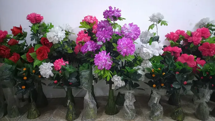 Plantas ornamentais