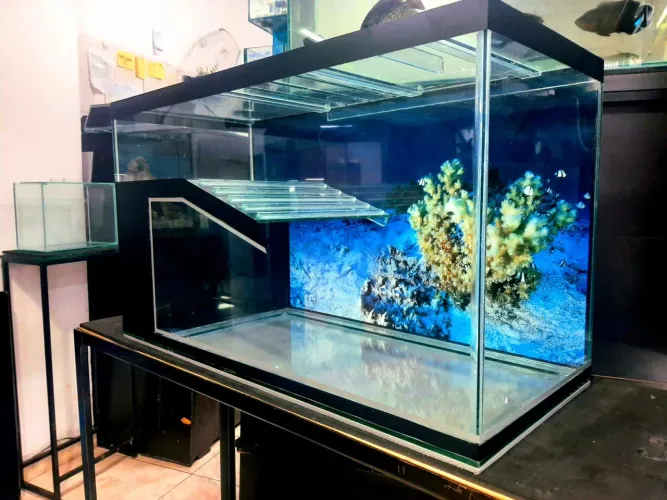 AQUATERRARIO 70x30x40 - COM SUMP E FILTRO ( NOVO )