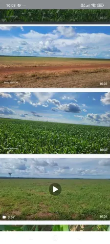 Fazenda de arrendamento 2.800hec e plantando 1.768, e 1.035hec a abrir em santa cruz xingú