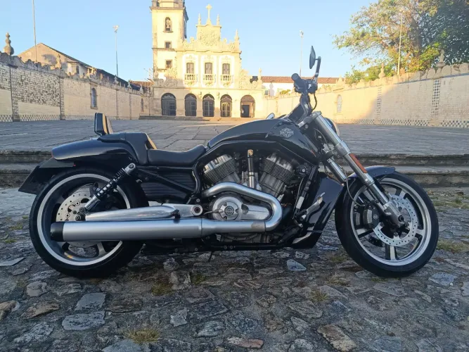 Halley Davidson Vrod muscle *1