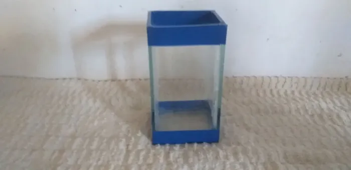 Dois minivasos