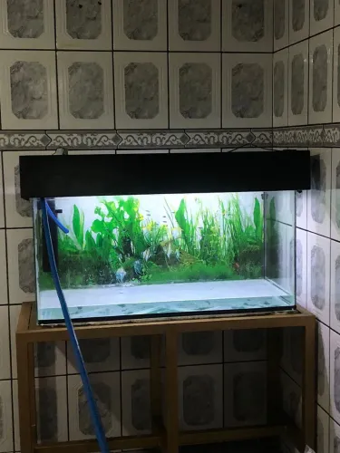 Aquário 200 litros