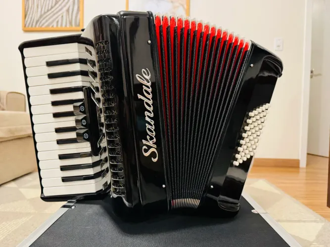 Gaita Acordeon 48 baixos.