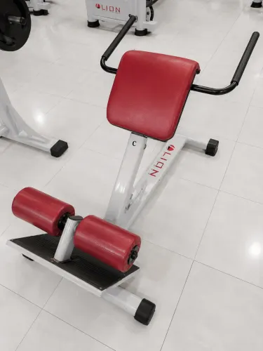 HIPEREXTENSÃO LOMBAR / BANCO ROMANO LION FITNESS