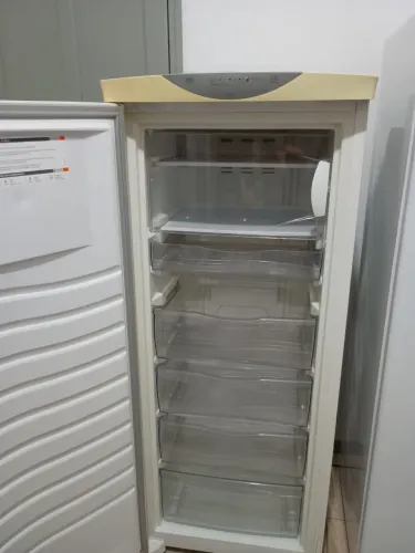 Freezer vertical