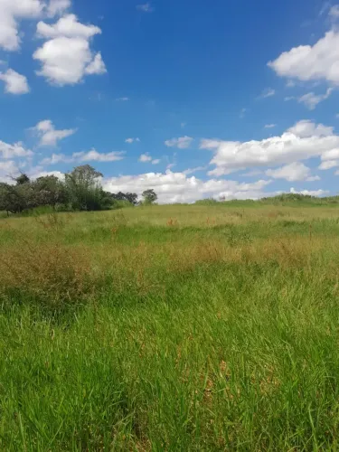 Imóvel para venda com 53.000 metros quadrados, plano com luz, escritura,