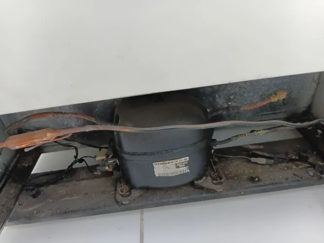 freezer 309L
