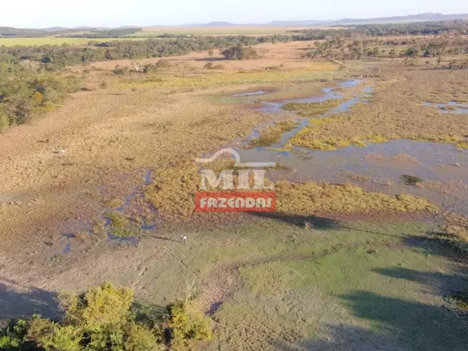 Fazenda 22,7 Alqueires (109,8 Hectares) Goianésia - Go