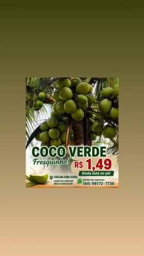 Coco verde 1,49