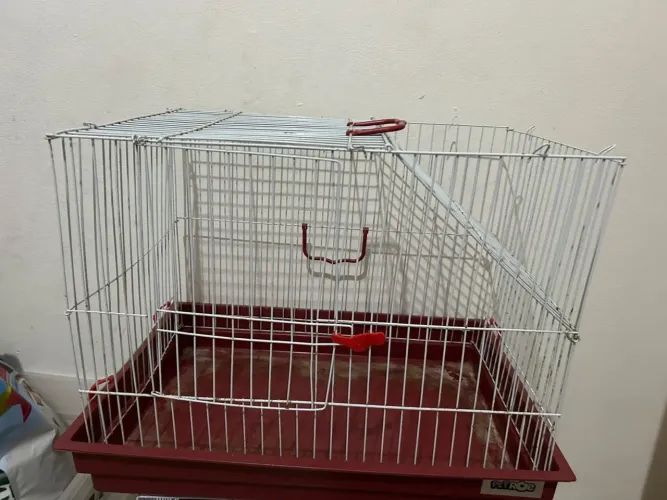 Gaiola grande pra porquinho da índia
