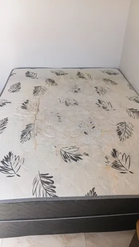 Cama