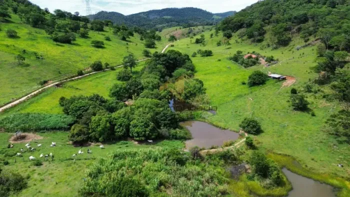 Sítio rico em água - 34,84 hectares / Região de Teófilo Otoni MG