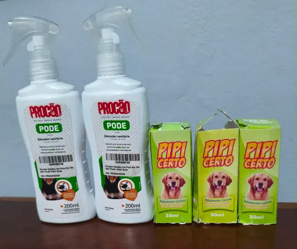 Educador sanitário canino e adestrador canino r