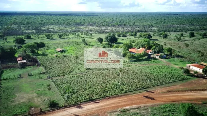 Fazenda de Pecuária - 1.500 Hectares / Piauí