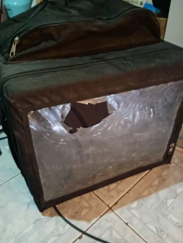 Mochila bag