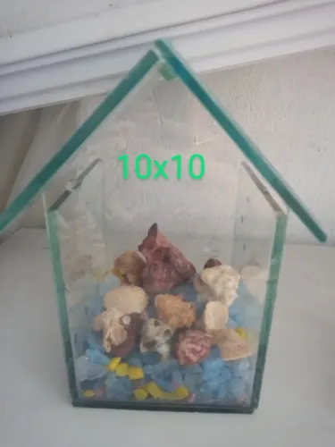 Mini Aquário para doação