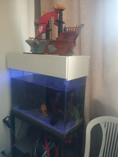 Aquário funcionando perfeitamente