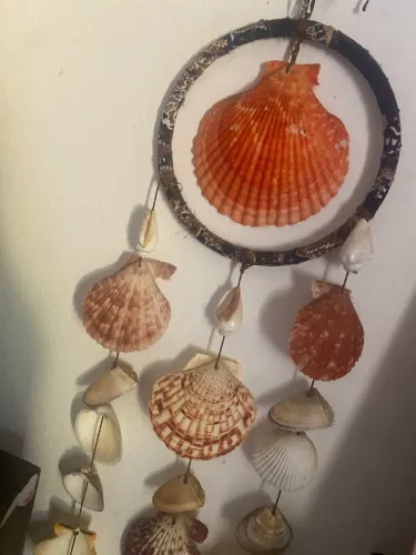 Mensageiro dos ventos de conchas veio direto de Santa Catarina do Sul