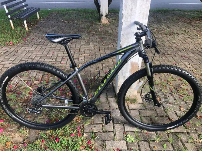 Specialized Rockhopper aro 29