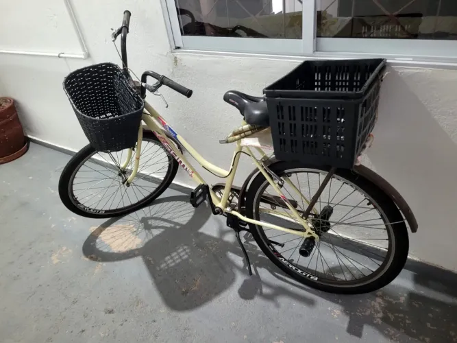 Bicicleta Samy Flowers