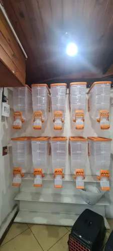 Dispenser de ração 