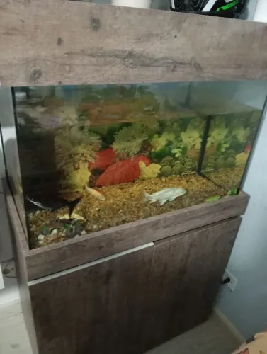 Aquário 160 litros com móvel