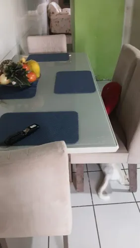 MESA