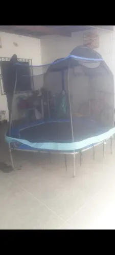 Pula pula
