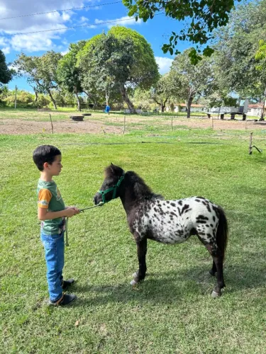 PONEI À VENDA