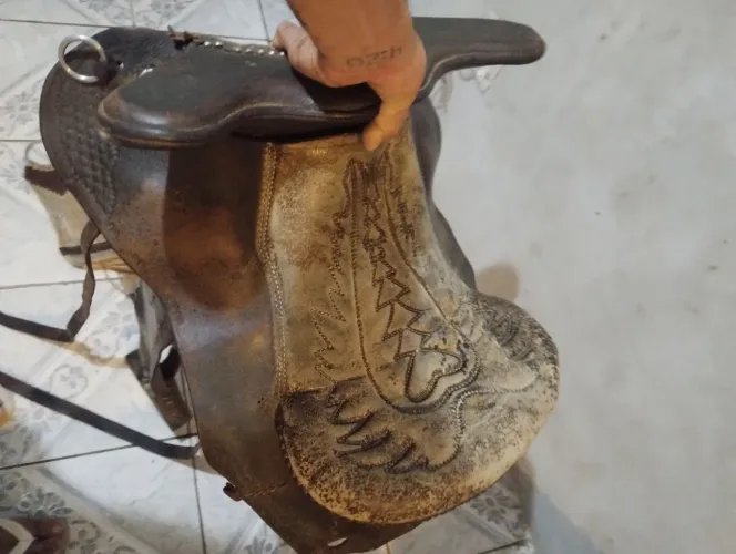 Cavalos e cela pra vender