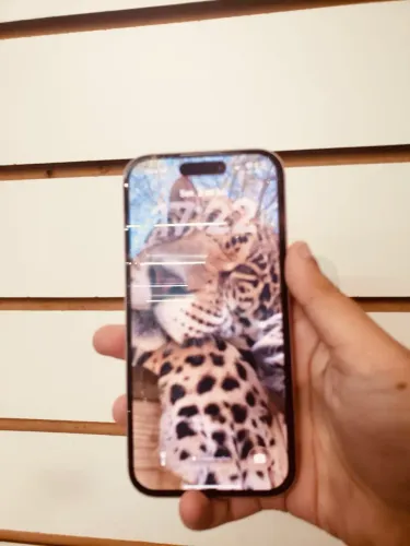 iPhone 15