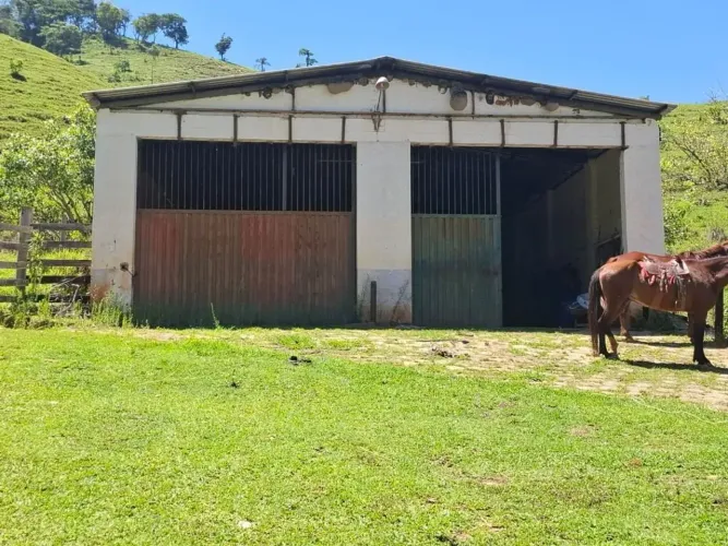 FAZENDA À VENDA | BORDA DA MATA/MG