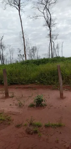 Fazenda Boa Colniza mt. 1004 hect. 