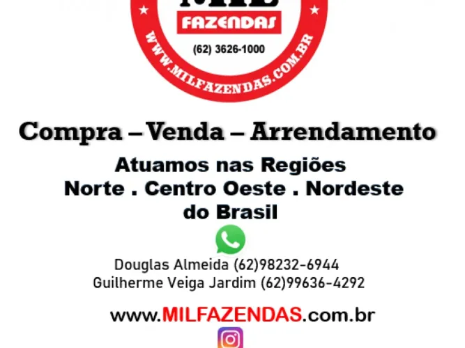 Fazenda Extra em Arraias - TO. 1.400 Há. (Soja e Gado)