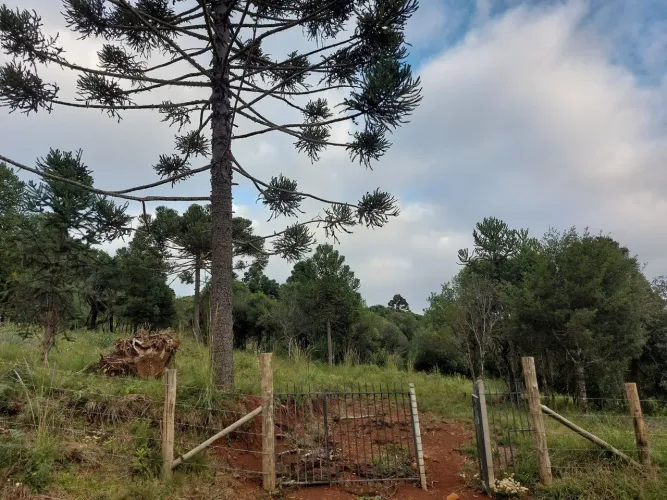 VENDO TERRENO EM LAGES AO LADO BR 282 (KM 232)