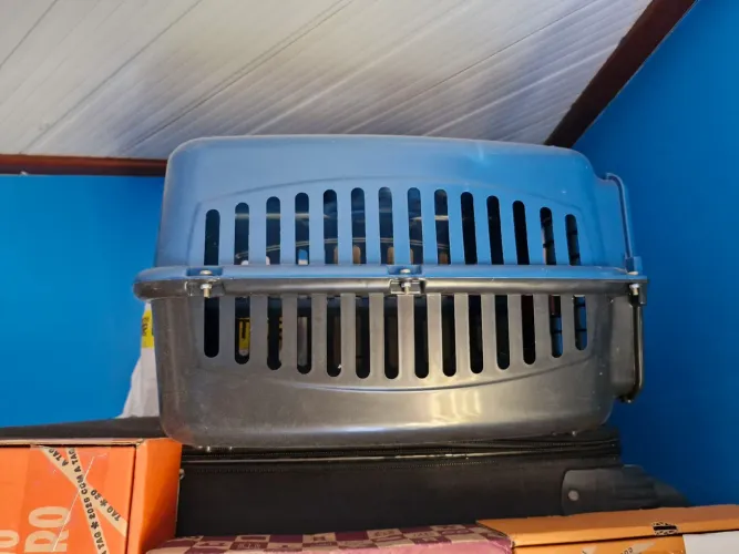 Casinha para Transportar pet