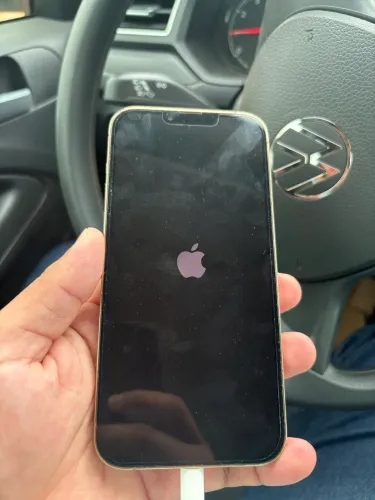 iPhone 13 Pro Max 256g