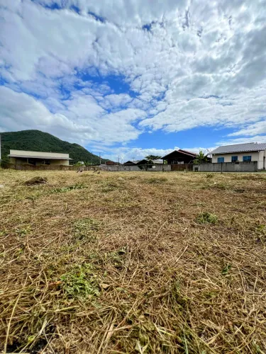 Terrenos planos em ótima localização!