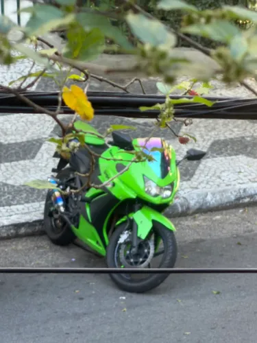 Kawasaki Ninja 250