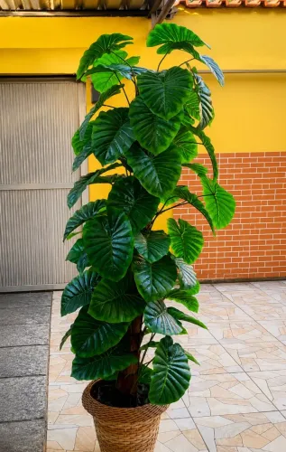Planta artificial