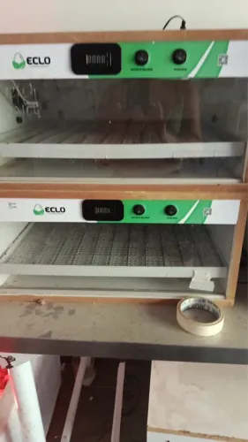 Chocadeira eclo 100 ovos 4 meses de uso