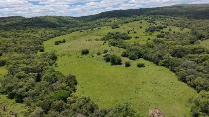 Campo para pecuária com 212,79ha em Caçapava do Sul RS