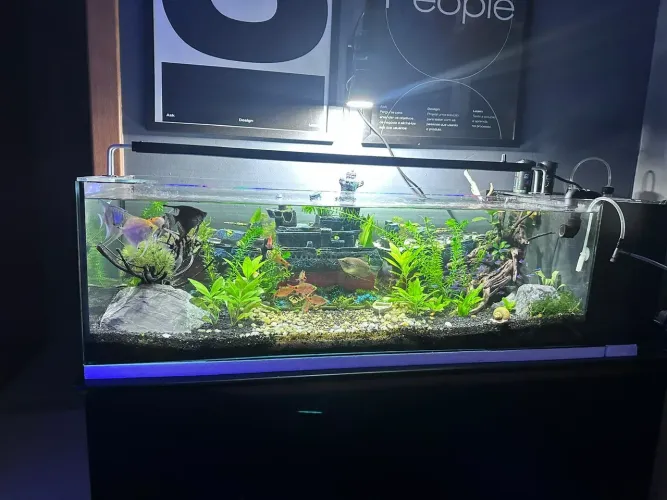 aquario a venda somente o vidro, sump embutido na lateral 